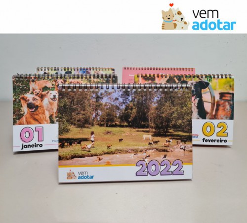 Calendário Deise Falci - 2023 - 21x15cm - 10 unidades